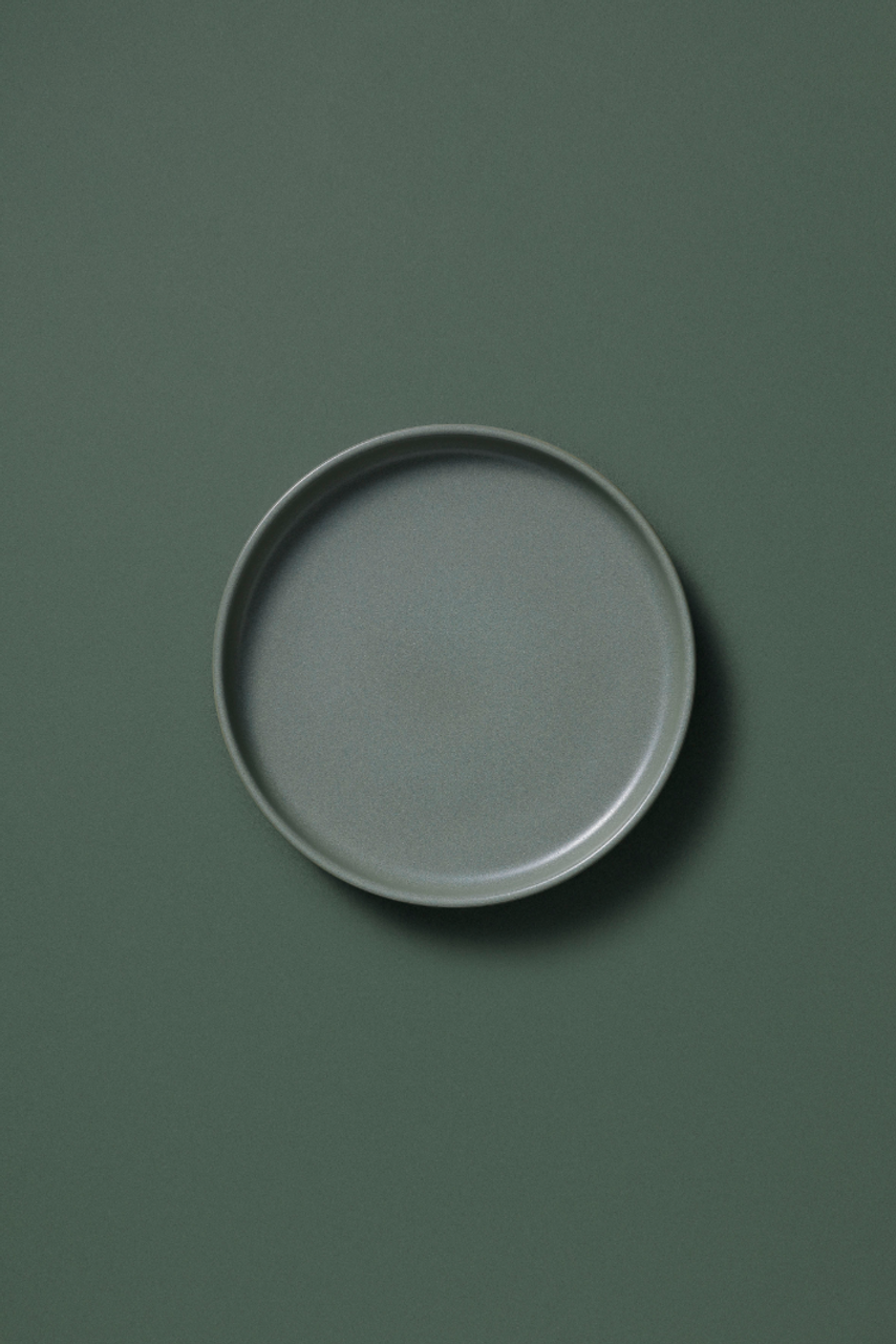 Тарелка Palmer Sandy Loam 22 см Stoneware Green