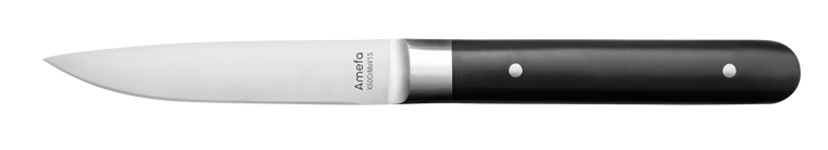 amefa-steakmes-4918-fusion-22-cm-kunststof-rvs-1-stuk_