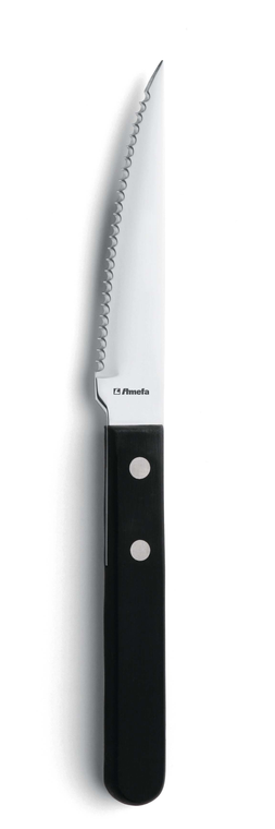 amefa-steakmes-7000-steak-21-cm-kunststof-rvs-13-0-1-stuk_