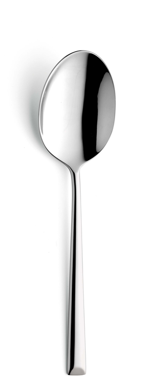 amefa-premiere-groentelepel-1170-metropole-22-5-cm-18-10-zilver-1-stuk_