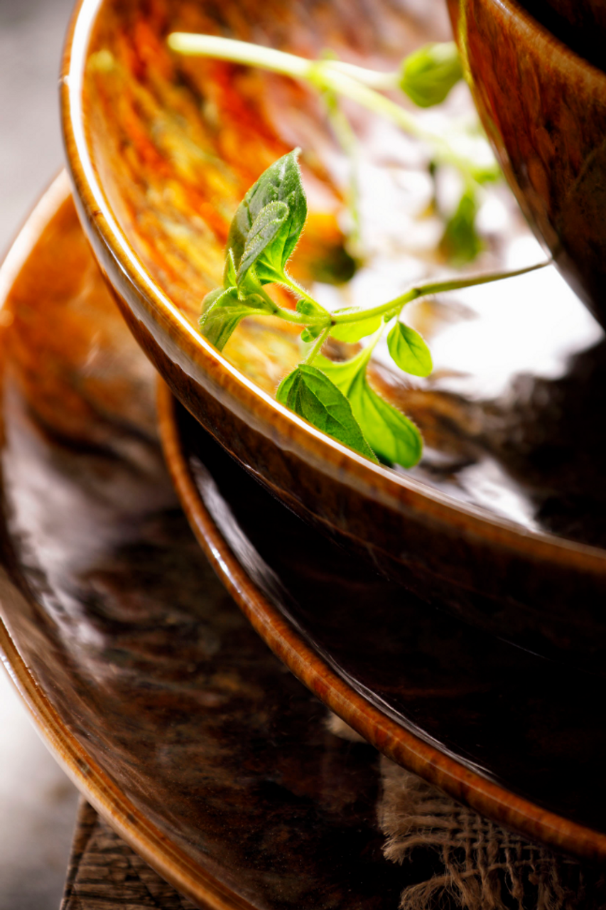 Palmer Bord diep Forest Rustique 21 см Керамогранит Брюин 