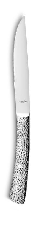 amefa-steakmes-3319-felicity-22-cm-18-0-13-0-1-stuk_