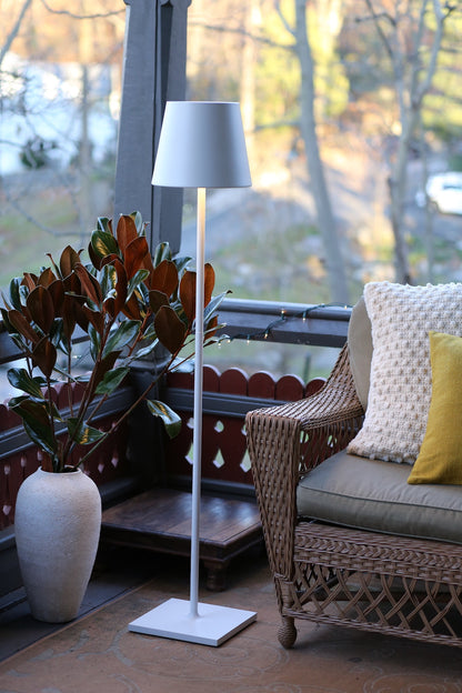 Зафферано Америка Полдина Про XXL 