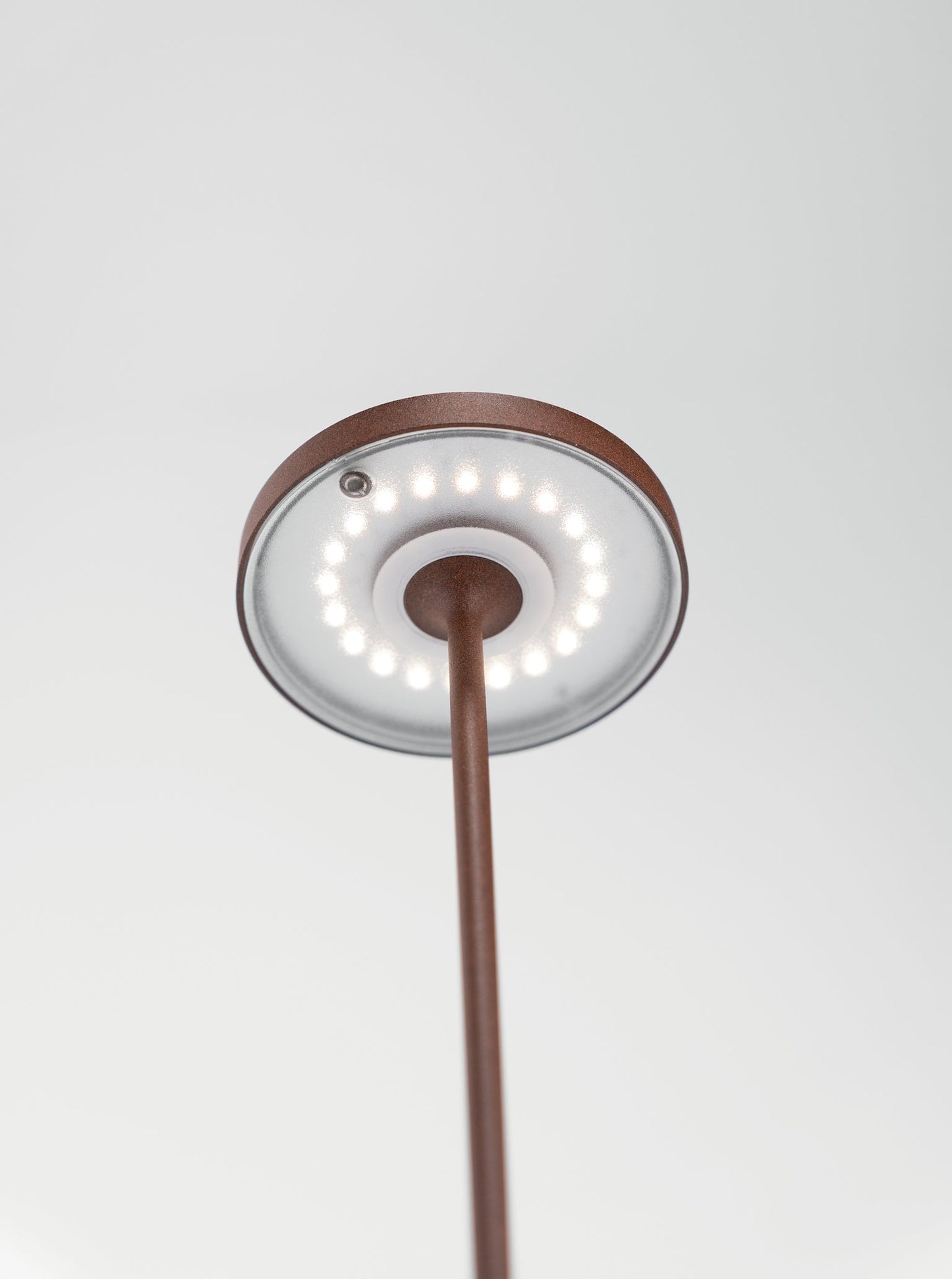 Дзафферано Америка Полдина вверх тормашками 