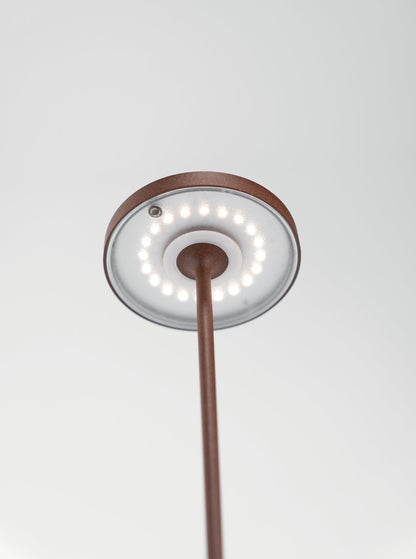 Дзафферано Америка Полдина вверх тормашками 