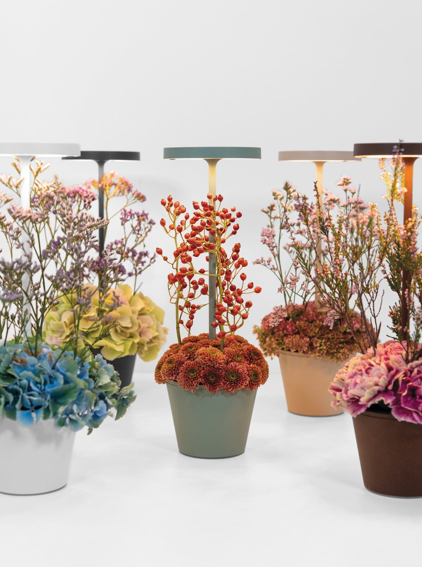 Дзафферано Америка Полдина вверх тормашками 